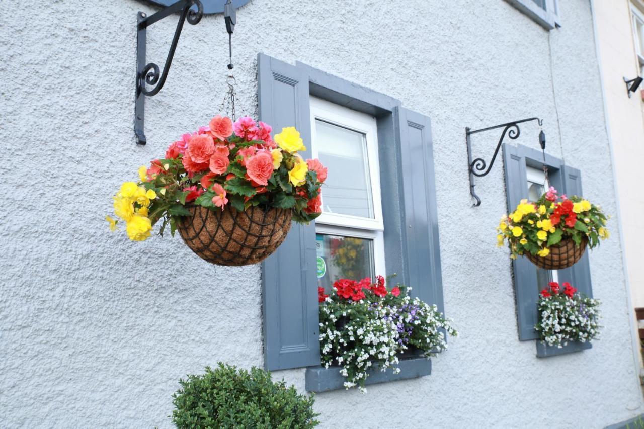 Madelines Accommodation Tinahely Exteriér fotografie